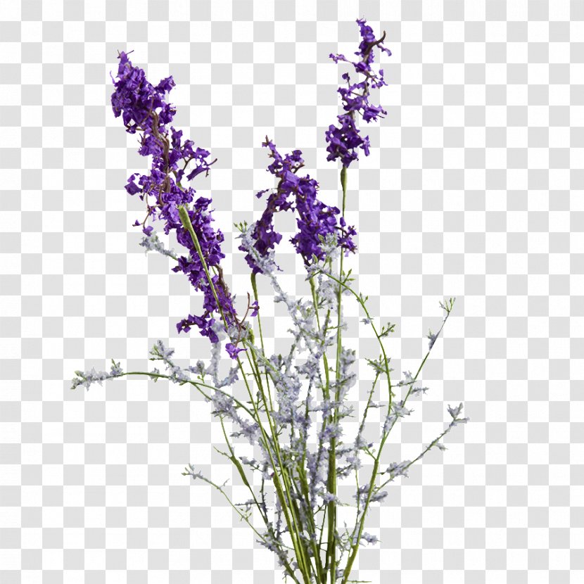 English Lavender Purple Artificial Flower Violet - Color Transparent PNG