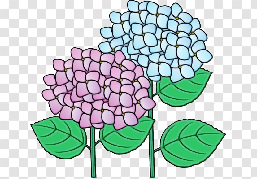 Floral Design Clip Art Cut Flowers French Hydrangea - Petal - Oakleaf Transparent PNG