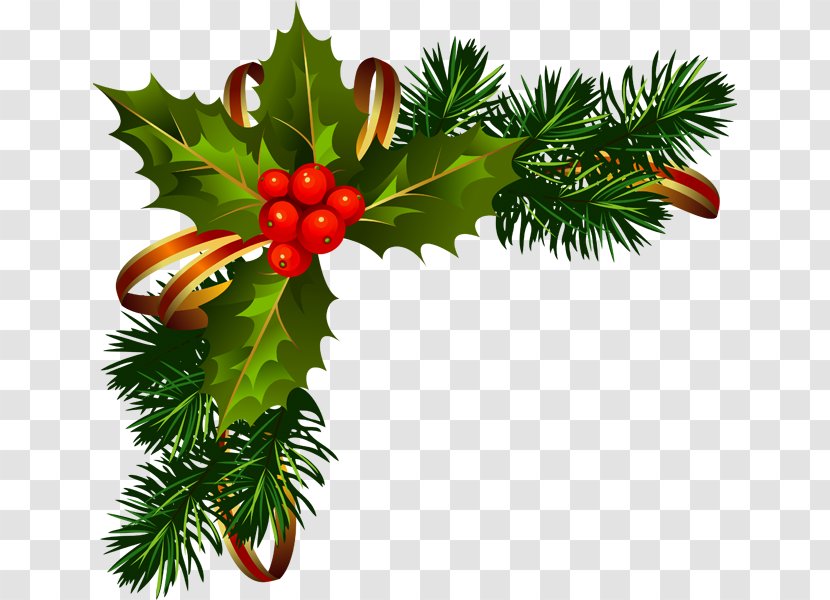 Christmas Decoration Picture Frames Ornament Clip Art - Aquifoliales Transparent PNG