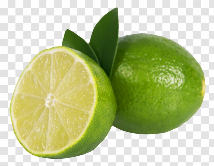 Lime Fruit Sweet Lemon Clip Art - Persian - Mint Transparent PNG