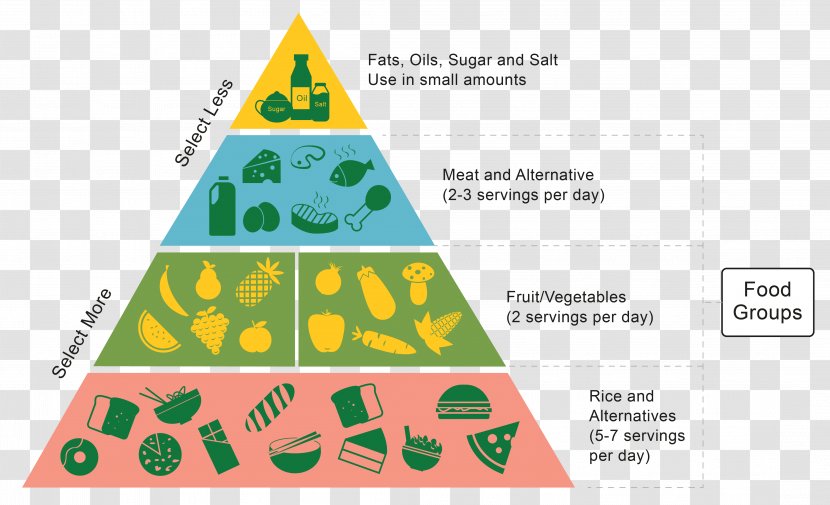 Food Pyramid Healthy Diet Carbohydrate - Grass - Health Transparent PNG