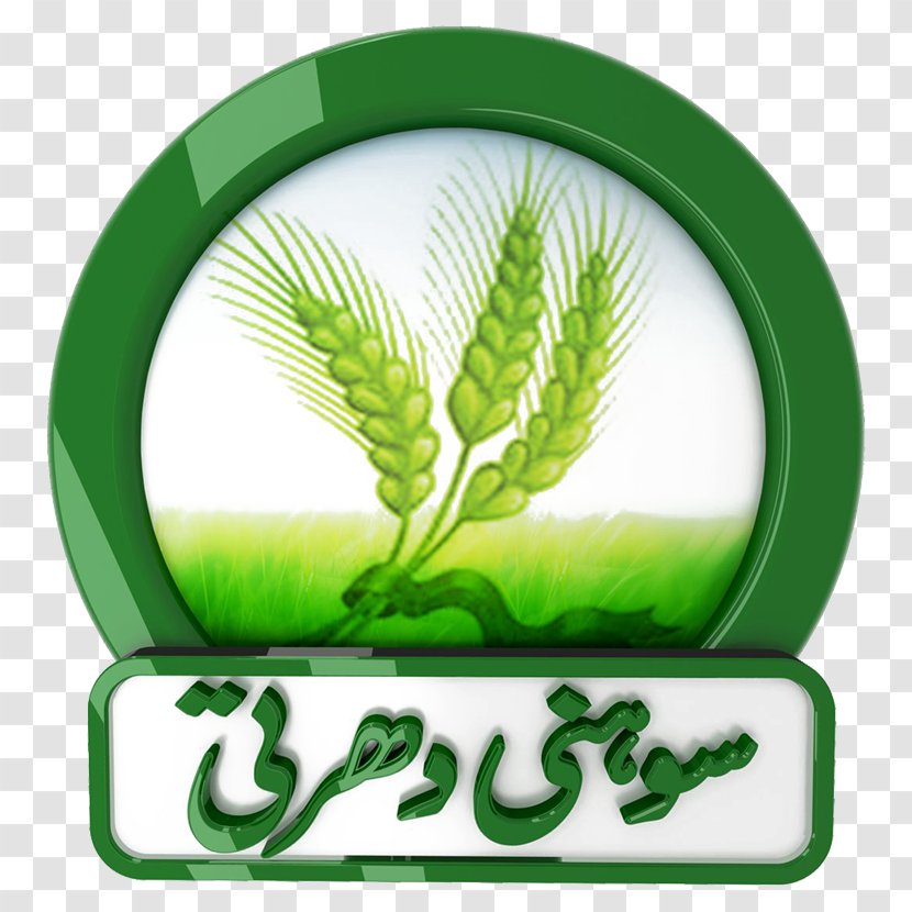 Pakistan Television Show Zhwandoon TV Live Radio - Hum Sitaray Transparent PNG