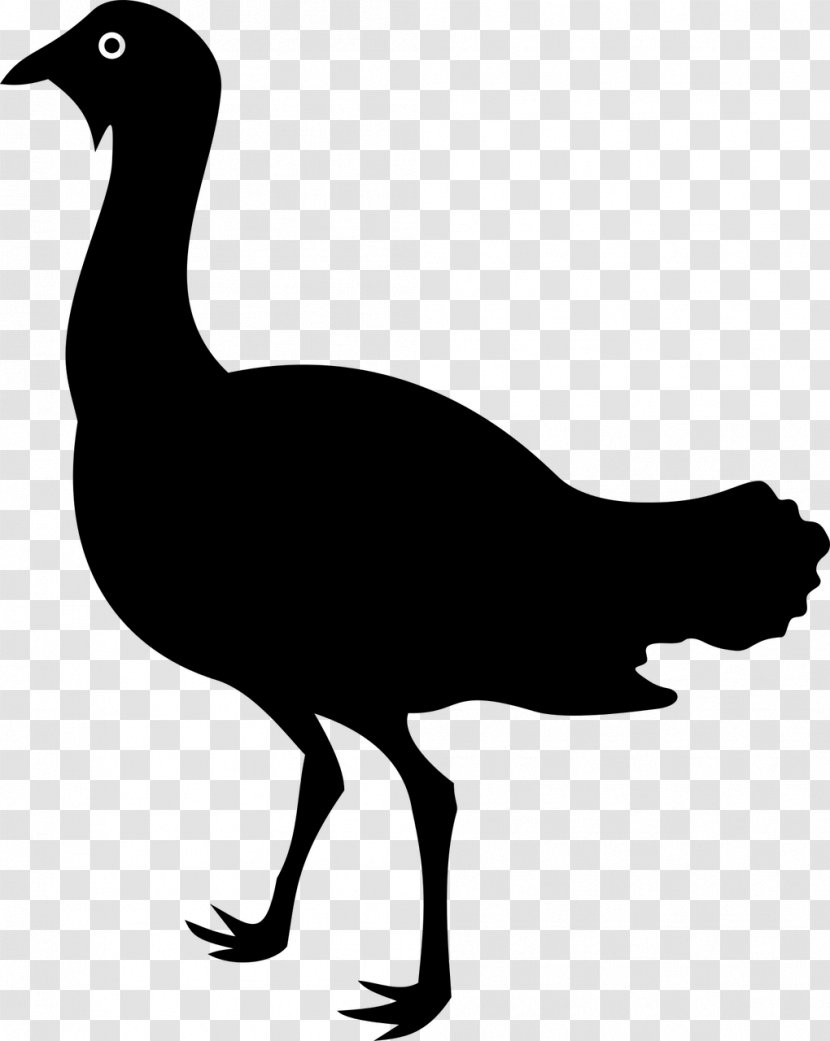 Duck Goose Bird Great Bustard Clip Art - Drawing Transparent PNG
