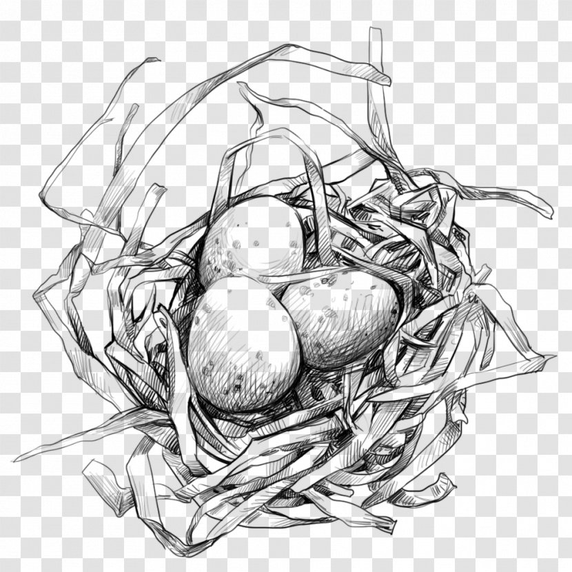 Edible Birds Nest Egg - Black And White - Bird's With Transparent PNG