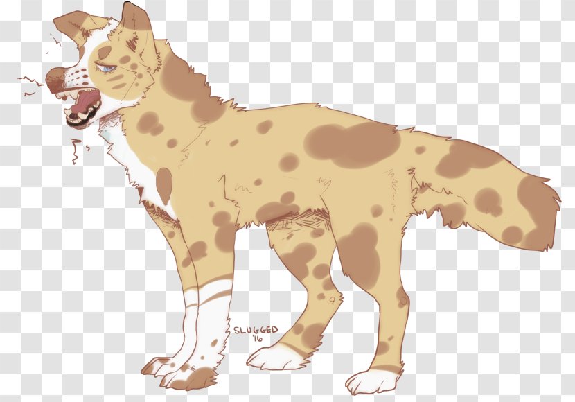 Lion Cheetah Cat Mammal Giraffe Transparent PNG