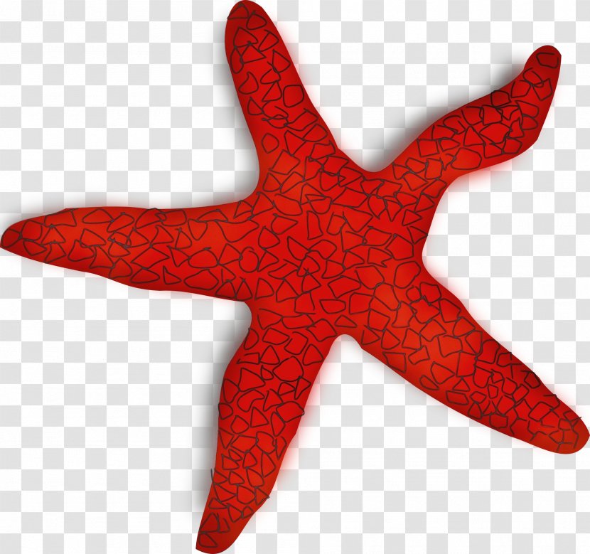 Starfish Red Marine Invertebrates Carmine Transparent PNG