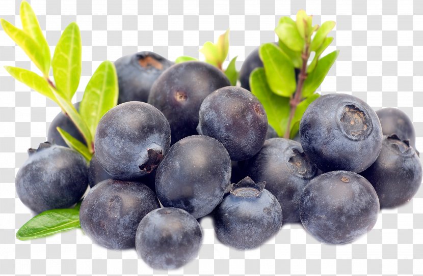 Torte Blueberry Bilberry Fruit - Tea - Blueberries Transparent PNG