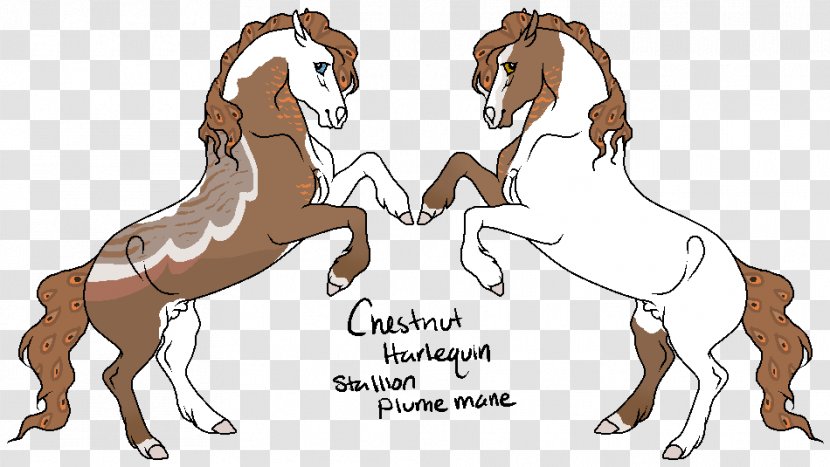 Mustang Stallion Foal Colt Pony - Muscle Transparent PNG
