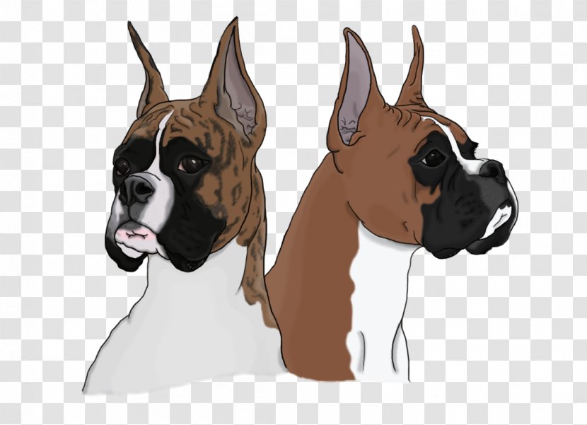 Boxer Dog Breed Shoe Snout Flip-flops - Like Mammal - Boxers Transparent PNG