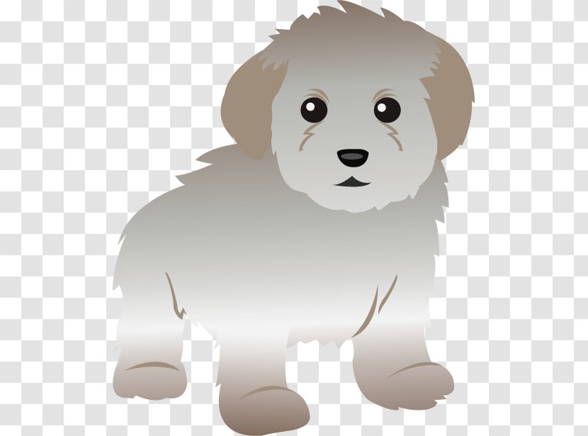Toy Poodle Maltese Dog Standard Miniature - Mammal - Cliparts Transparent PNG