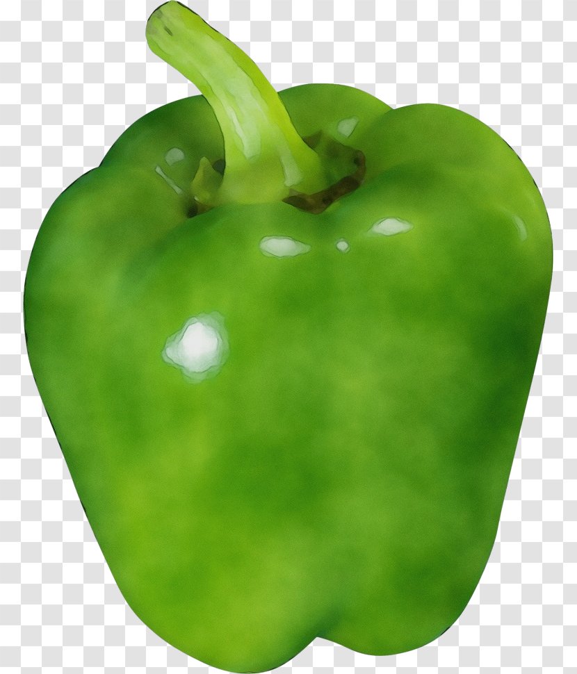 Bell Pepper Pimiento Capsicum Green - Food Plant Transparent PNG