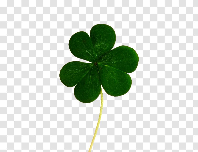 Saint Patrick's Day Republic Of Ireland Luck Shamrock Black And Tan - Lucky Clover Transparent PNG