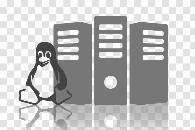 Computer Servers NBS System - Cloud Computing - Software Developer Transparent PNG