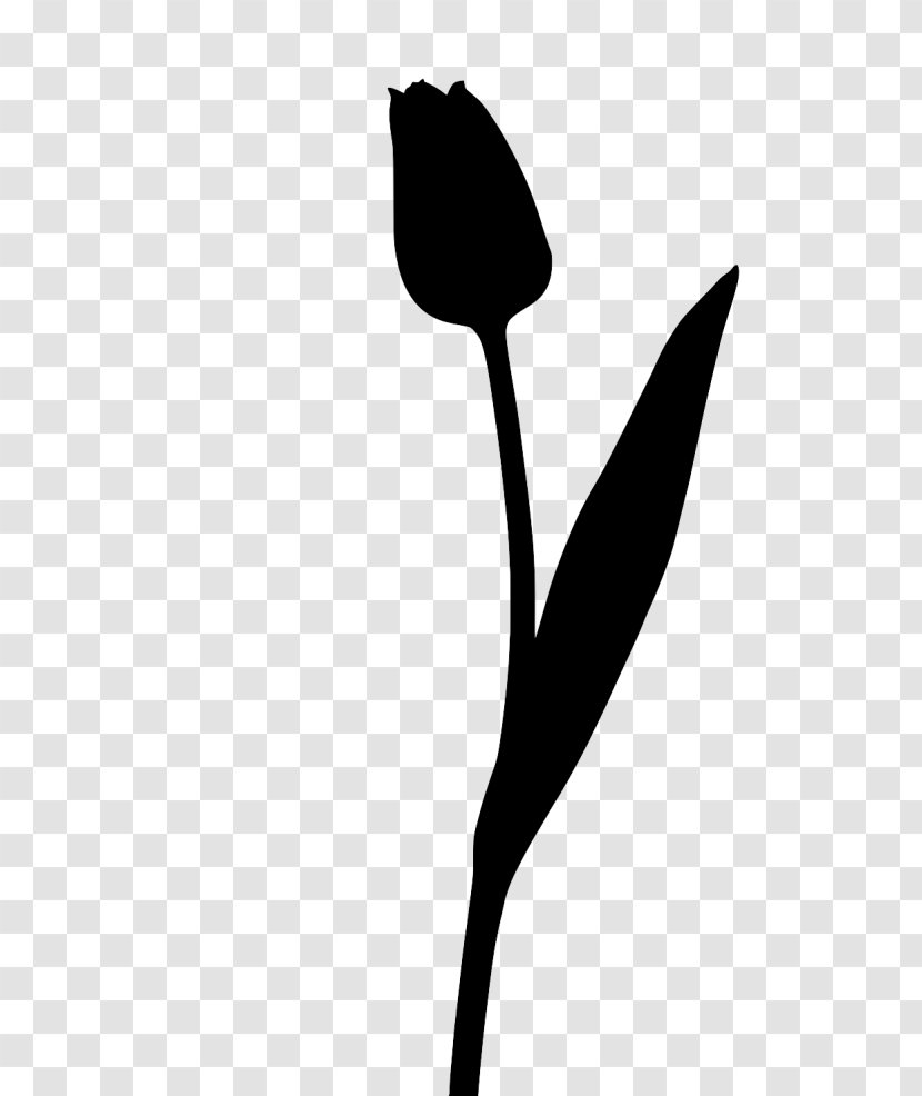 Flower Clip Art Plant Stem Leaf Line - Tulip Transparent PNG