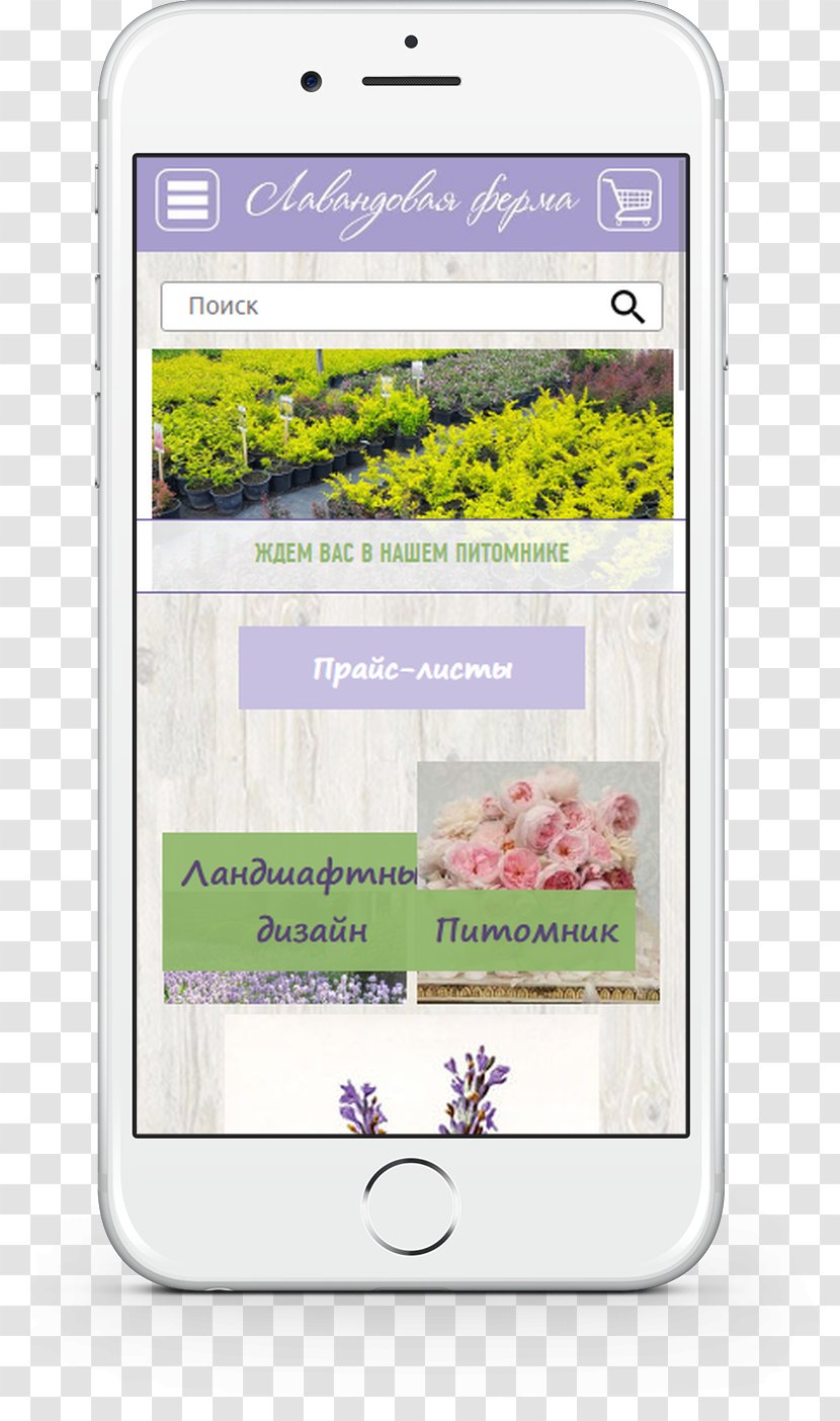 Multimedia Mobile Phones IPhone - Lavender Fields Transparent PNG