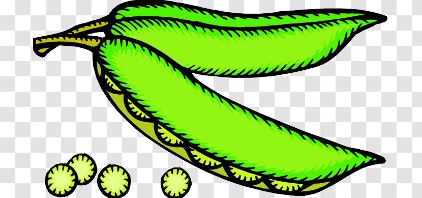 Vegetable Food Pea Clip Art - Leaf Transparent PNG