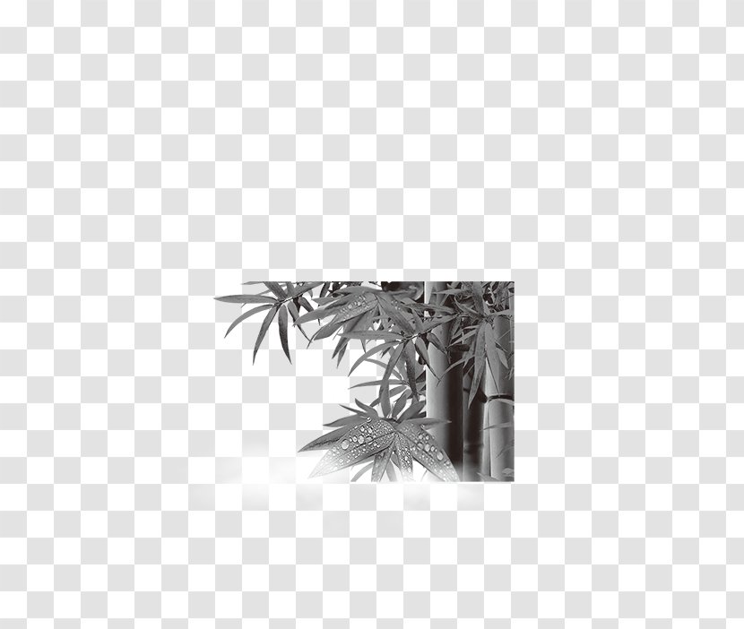 Bamboo Painting Black And White - Tree Transparent PNG