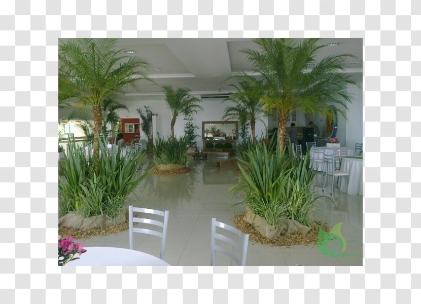Arecaceae Canoas Garden Center Flowerpot Houseplant - Plant - Centre Transparent PNG