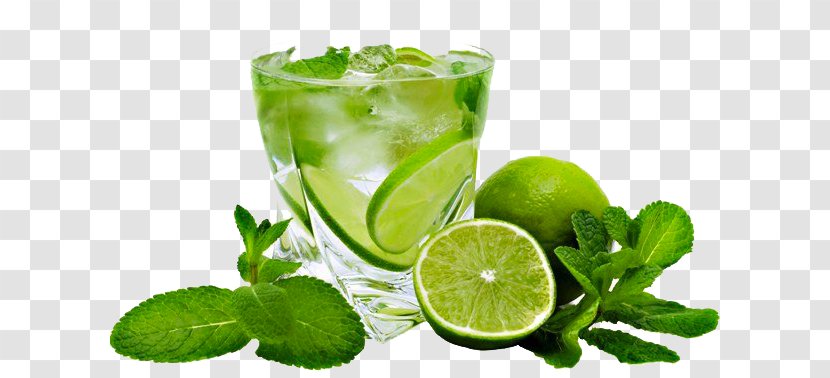 Mojito Cocktail Carbonated Water Lemon Lime - Juice Transparent PNG
