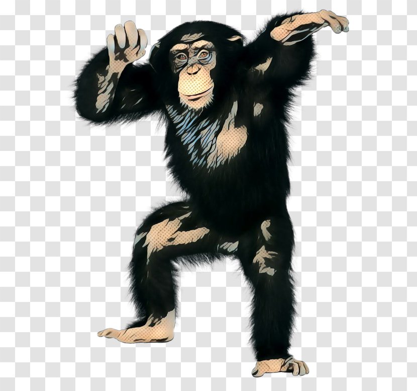 Common Chimpanzee Costume Clip Art - Vintage Transparent PNG