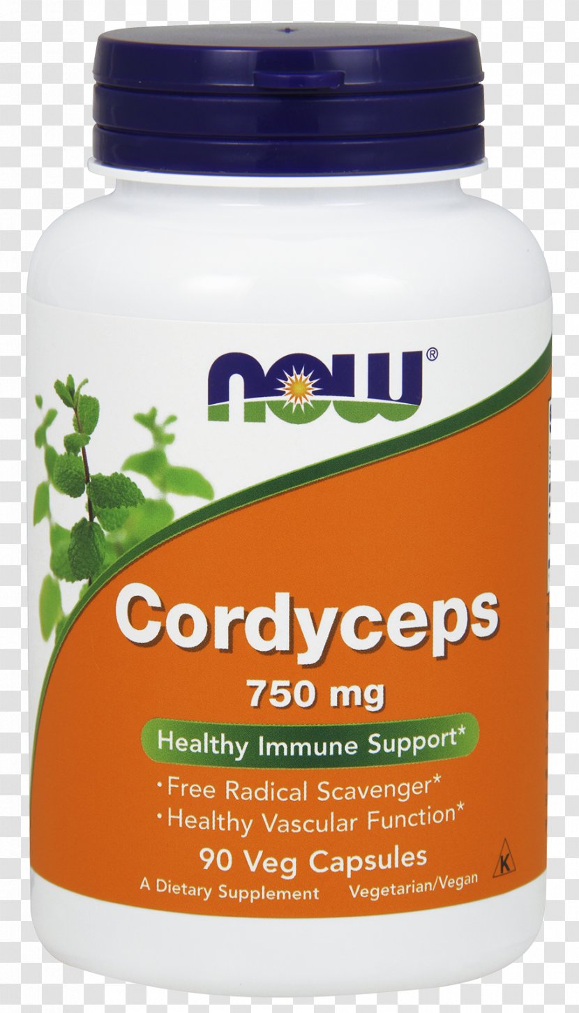 Dietary Supplement Cordyceps Food Capsule Herb - Health Transparent PNG