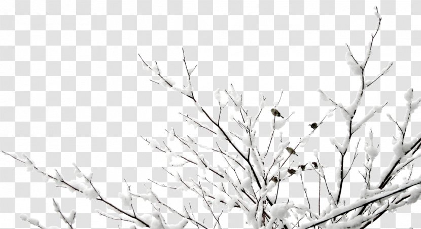 Google Images - Leaf - Free Snow Hanging Tree Branch To Pull The Material Sparrow Transparent PNG