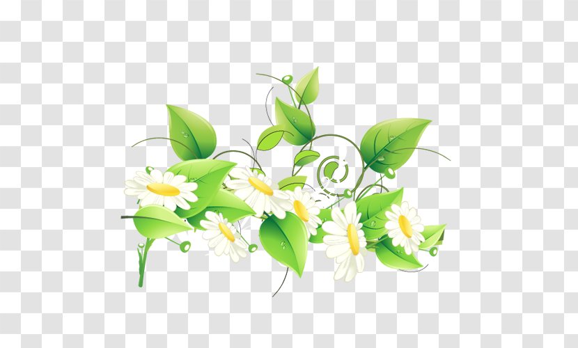 Vector Graphics Drawing Art Photograph - Flower - Free Transparent PNG