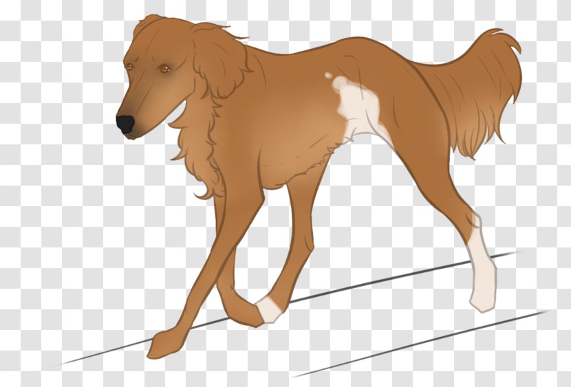 Dog Mustang Mammal Pet Animal - Carnivora - Fanta Transparent PNG