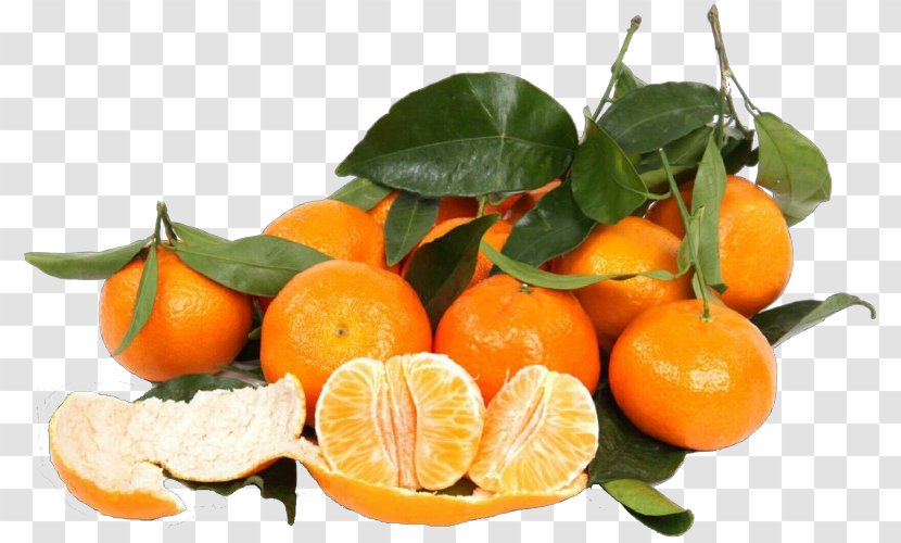 Citrus Tangerine Mandarin Orange Fruit Clementine - Natural Foods - Tangelo Transparent PNG