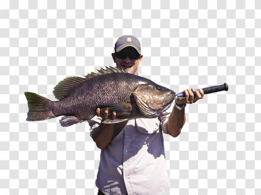 Papua New Guinea Fishing Rods Barramundi - Salmon - PARADİSE Transparent PNG