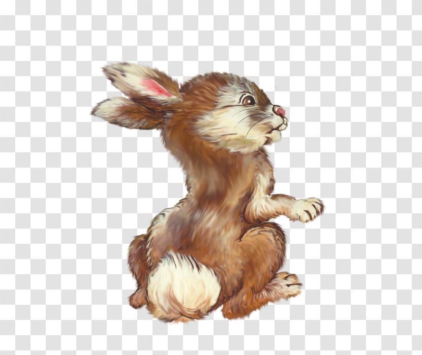 Rabbit Clip Art - Dog Like Mammal Transparent PNG