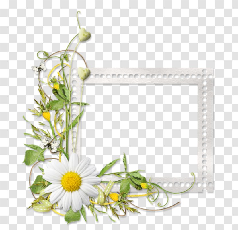 Picture Frames Floral Design Flower - Silhouette - CLUSTER FRAME Transparent PNG