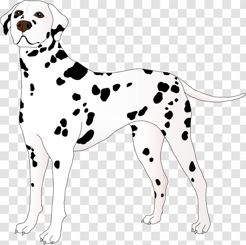 Dalmatian Dog Puppy Animal Non-sporting Group Clip Art - Paw - House Transparent PNG