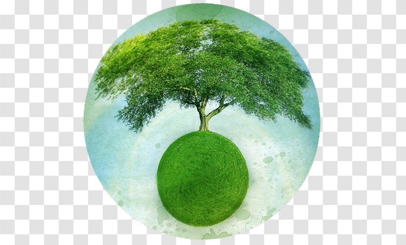 Gaia Hypothesis Earth Mother Nature Transparent PNG