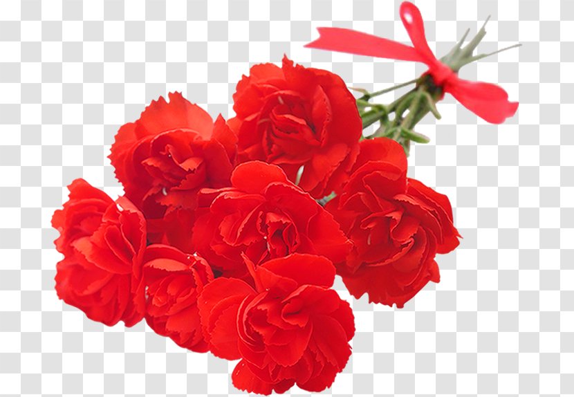 Cut Flowers Mother's Day Centifolia Roses Garden - Begonia - Specials Transparent PNG