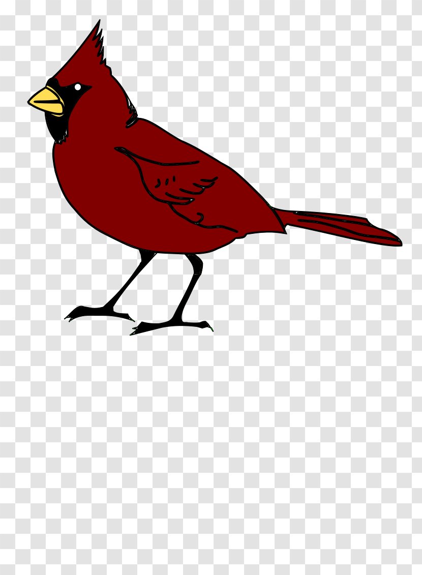 St. Louis Cardinals Clip Art - Black And White - Bird Transparent PNG