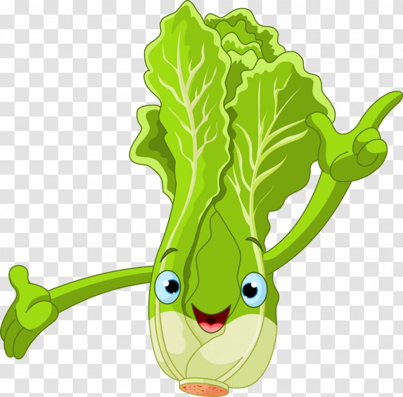 Lettuce Cartoon Royalty-free Clip Art - Royaltyfree - Chinese Cabbage Transparent PNG