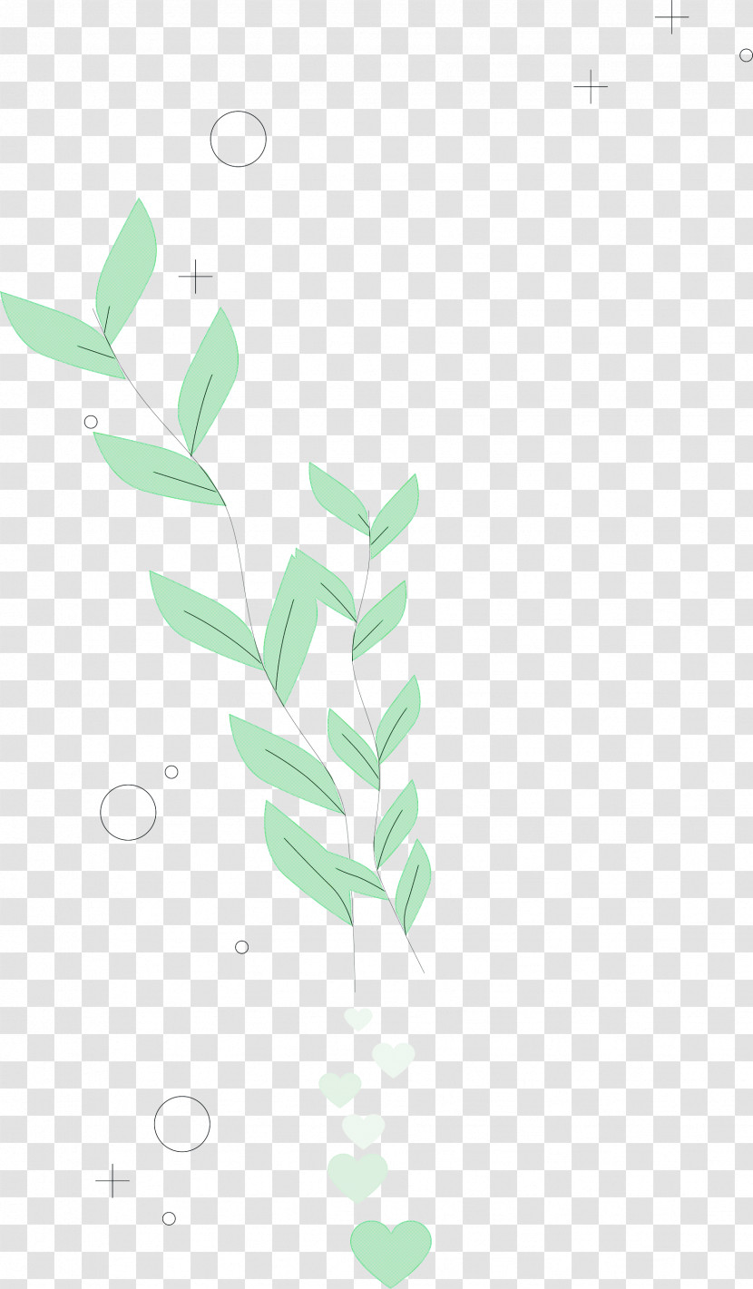 Plant Stem Petal Leaf Green Pattern Transparent PNG