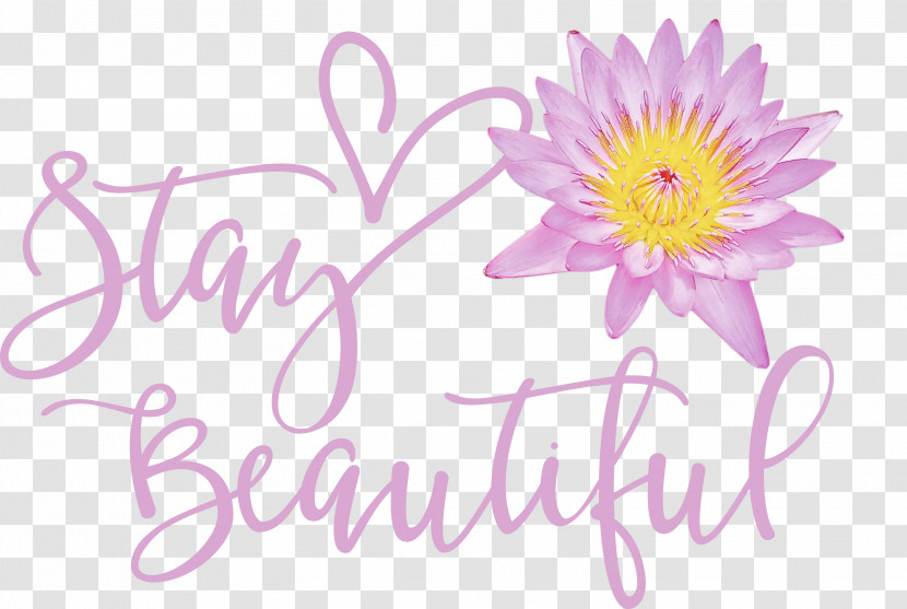 Stay Beautiful Fashion Transparent PNG