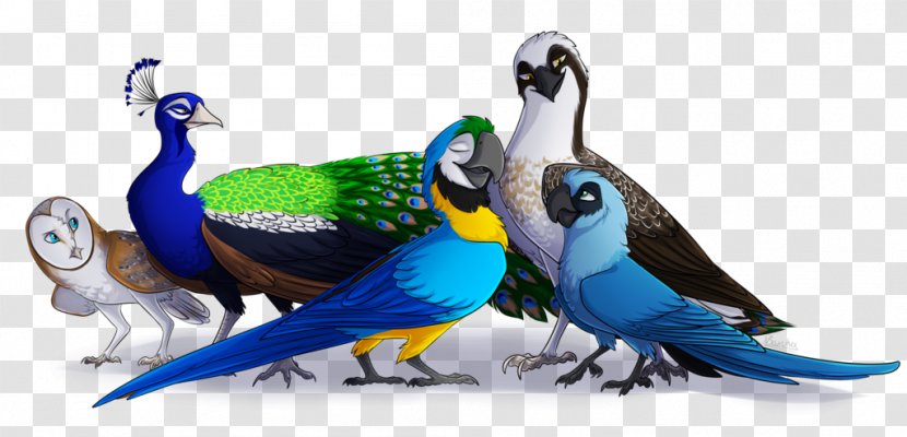 Bird Parrot Spix's Macaw Goose - Parakeet Transparent PNG