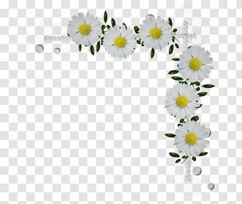 Daisy - Oxeye - Cut Flowers Yellow Transparent PNG