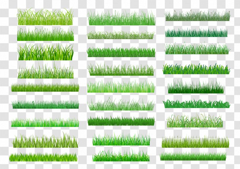 Lawn Green Royalty-free Clip Art - Royaltyfree - Grasses Style Transparent PNG