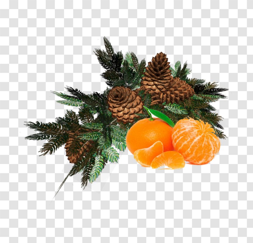 Christmas And New Year Background - Tree - Vegetable Decoration Transparent PNG