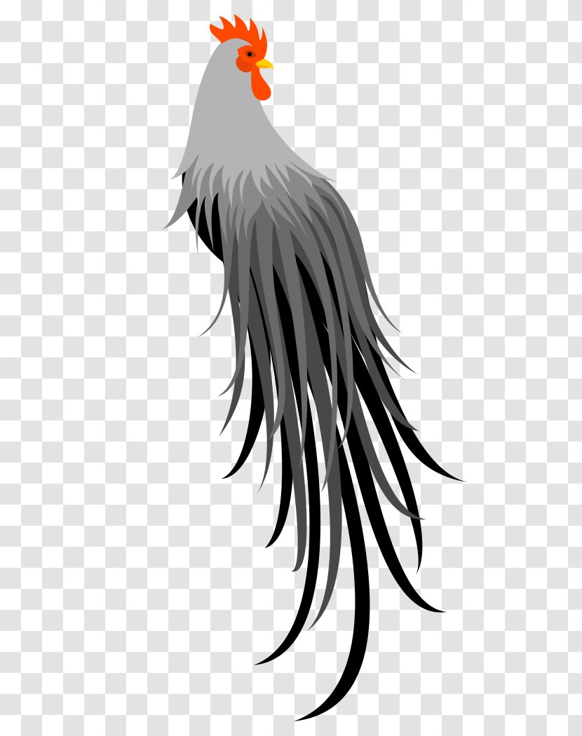 Rooster Bird Owl Chicken Beak - Cygnini Transparent PNG
