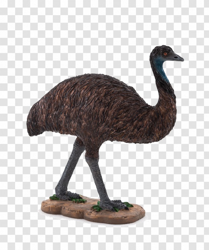 Common Ostrich Emu Stoat Cheetah Bird Transparent PNG