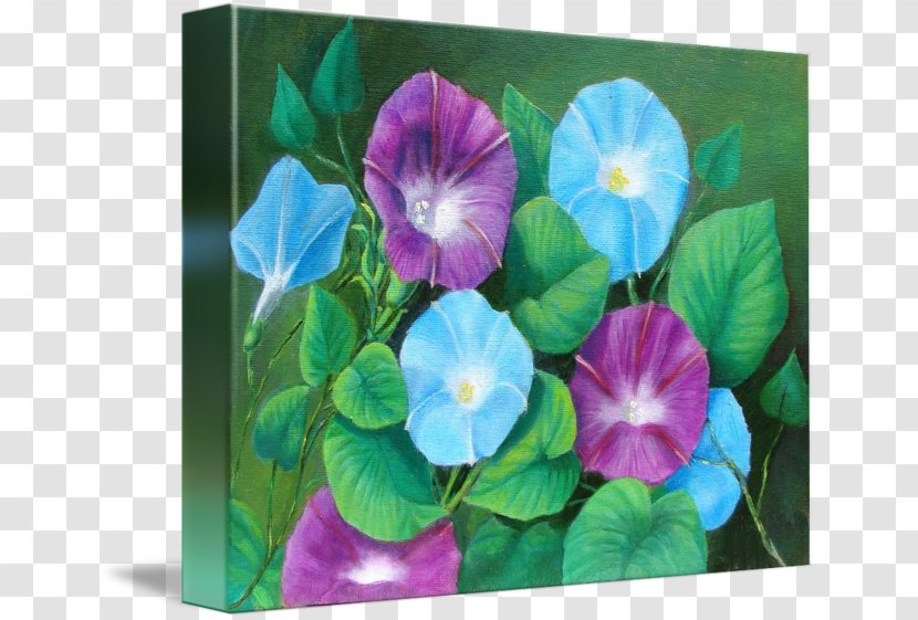 Pansy Ipomoea Violacea Morning Glory Annual Plant Modern Art - Viola Transparent PNG