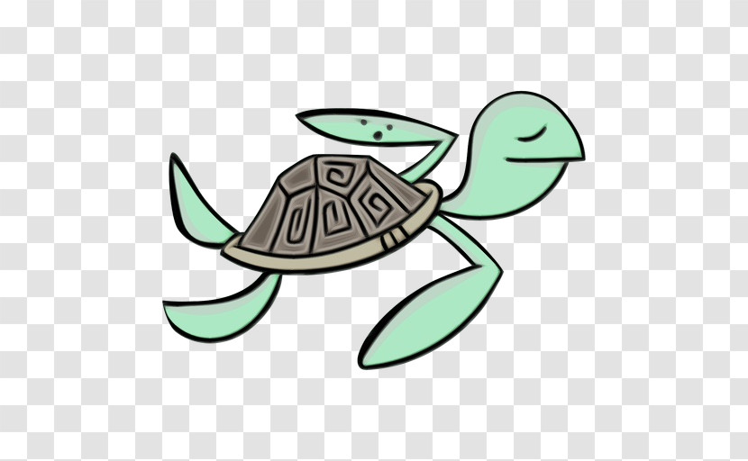 Sea Turtles Tortoise Turtles Meter Sea Transparent PNG