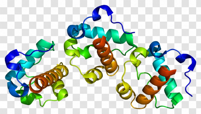 ETV6 Fusion Gene PDGFRA Transcription Factor - Genetic Code Transparent PNG