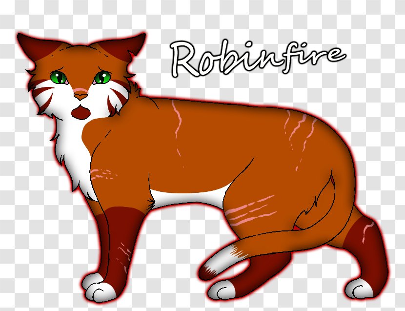 Whiskers Kitten Dog Red Fox Cat Transparent PNG