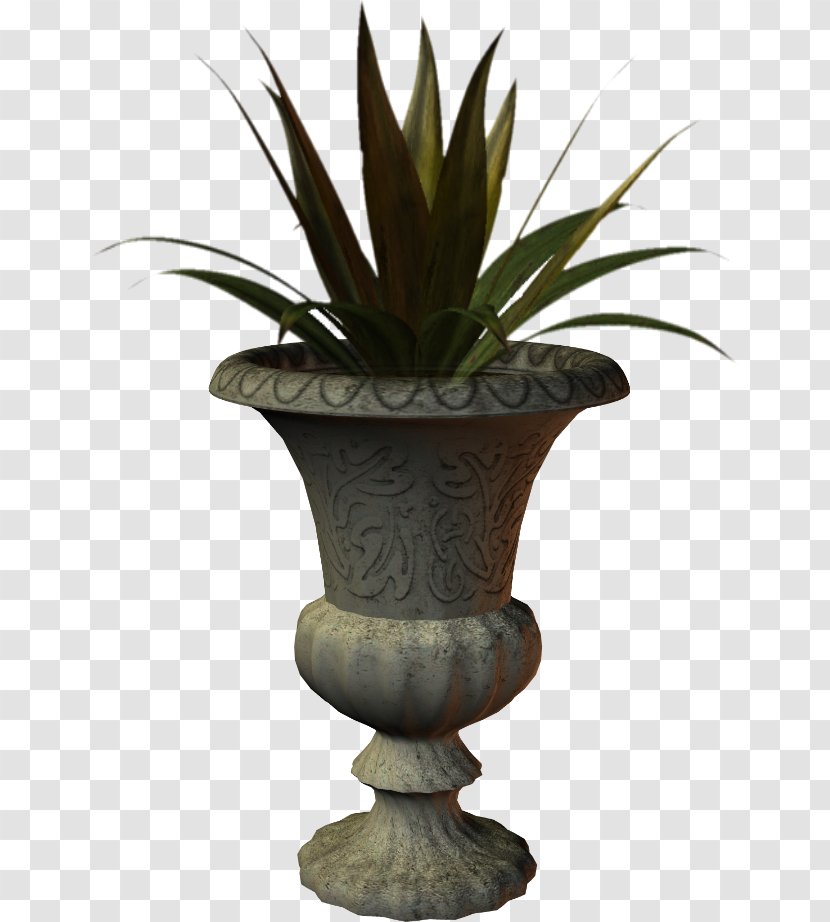 Vase Agave Urn INAV DBX MSCI AC WORLD SF Arecales - Inav Dbx Msci Ac World Sf Transparent PNG